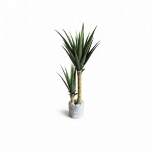 Tropical Tree GSGAPTE012