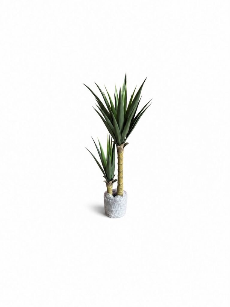 Tropical Tree GSGAPTE012