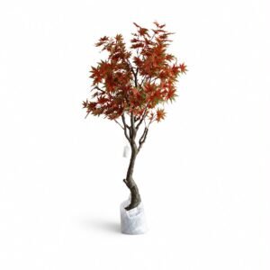 Maple Tree GSGAPTE013