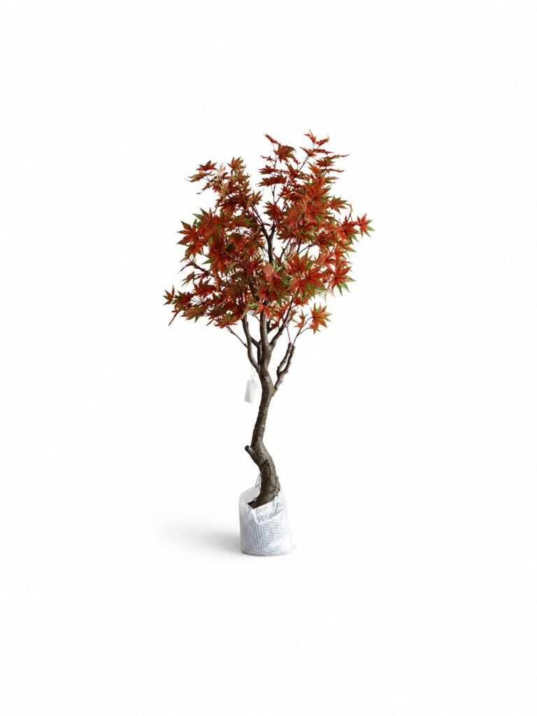 Maple Tree GSGAPTE013