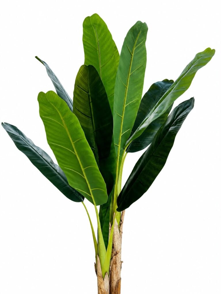 Pole Banana Tree GSGAPTE015 thumbnail 2