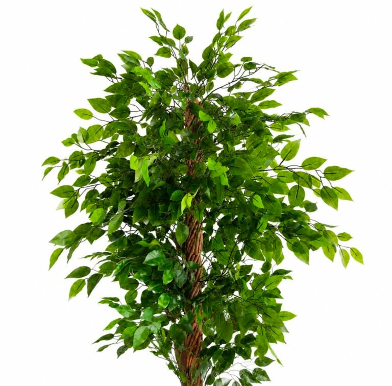 Artificial Potted Ficus Tree GSGAPTE019 thumbnail 2
