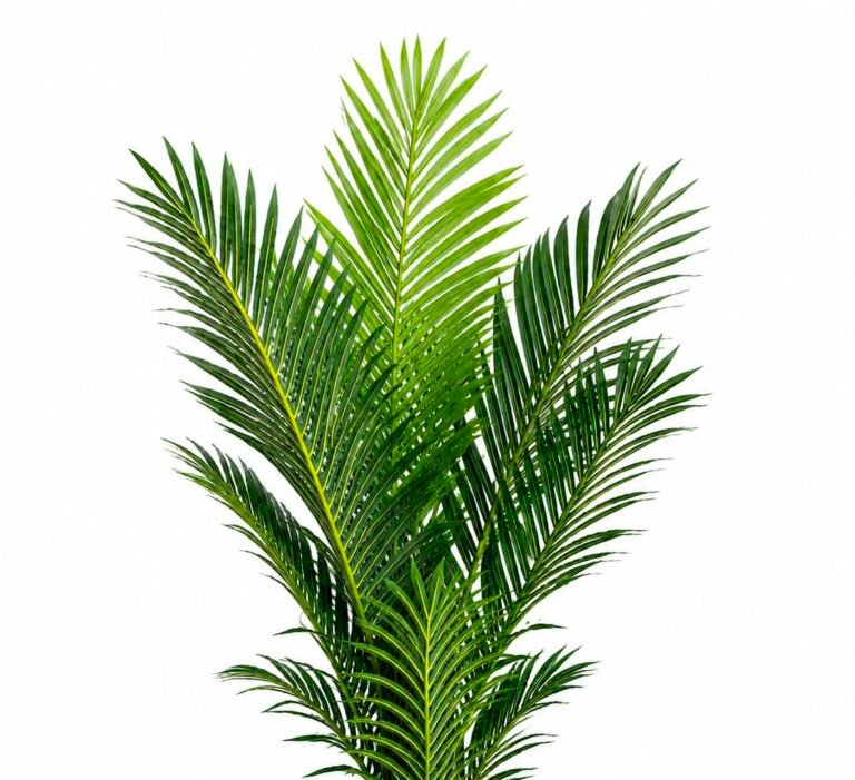 Artificial Palm Tree GSGAPTE025 thumbnail 2