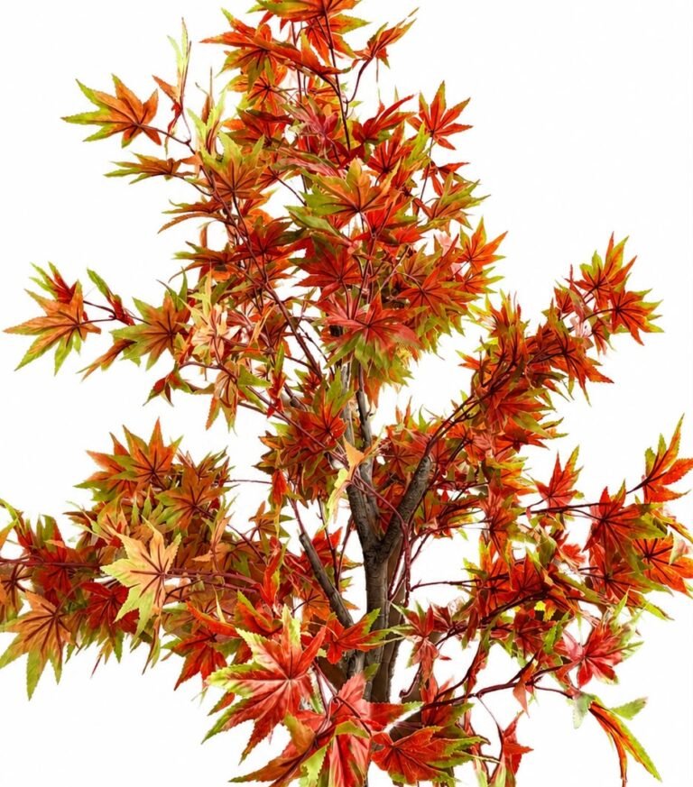Maple Tree GSGAPTE013 thumbnail 2