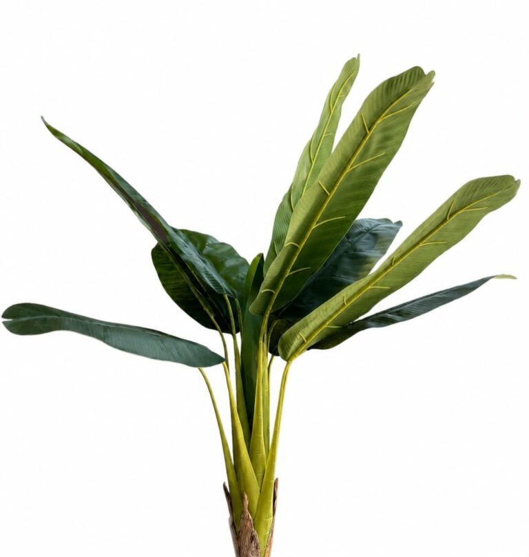 Single Pole Banana Tree GSGAPTE014 thumbnail 2
