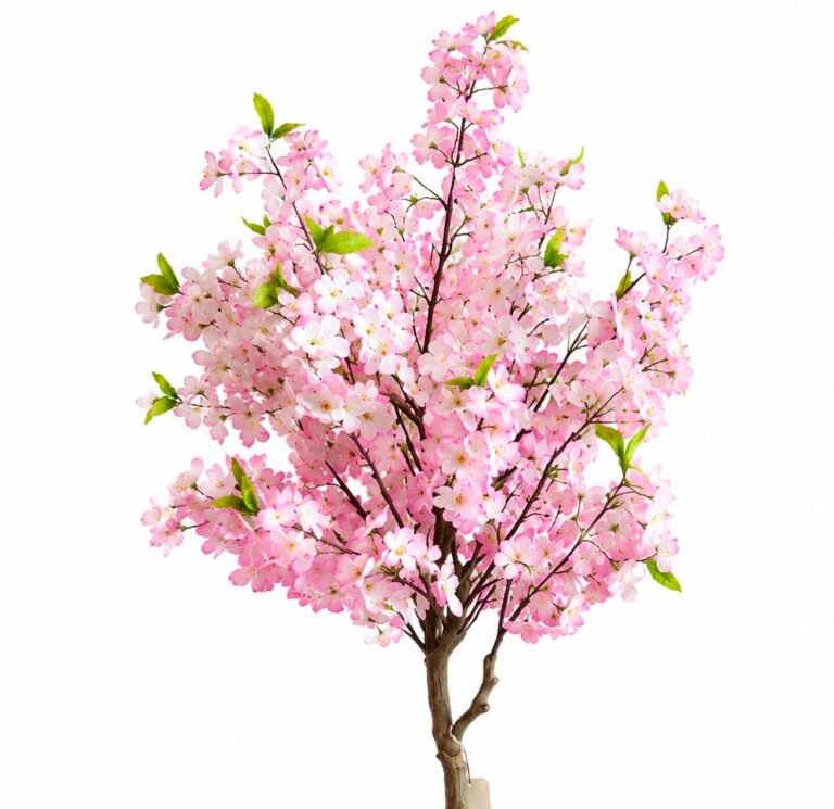 Cherry Blossom Tree GSGAPTE002 thumbnail 2
