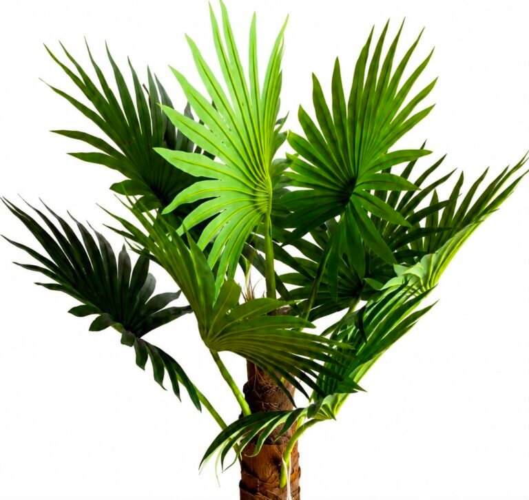 Potted Round Palm GSGAPTE017 thumbnail 2