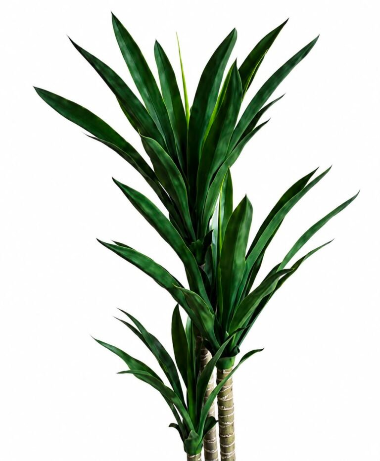 Tropical Tree GSGAPTE010 thumbnail 2