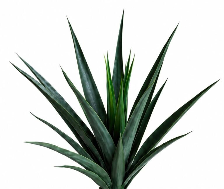 Tropical Tree GSGAPTE011 thumbnail 2