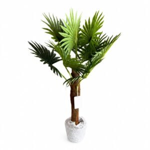 Potted Round Palm GSGAPTE017