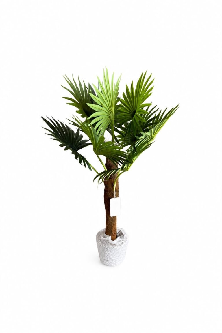 Potted Round Palm GSGAPTE017