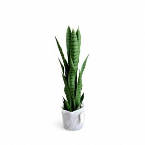 Artificial Sanseveria Trifaciata Prain GSGAPTE028