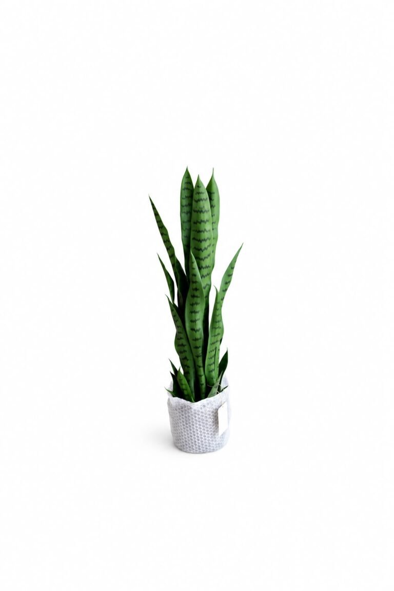 Artificial Sanseveria Trifaciata Prain GSGAPTE028