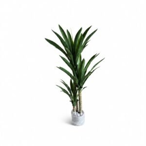 Tropical Tree GSGAPTE010