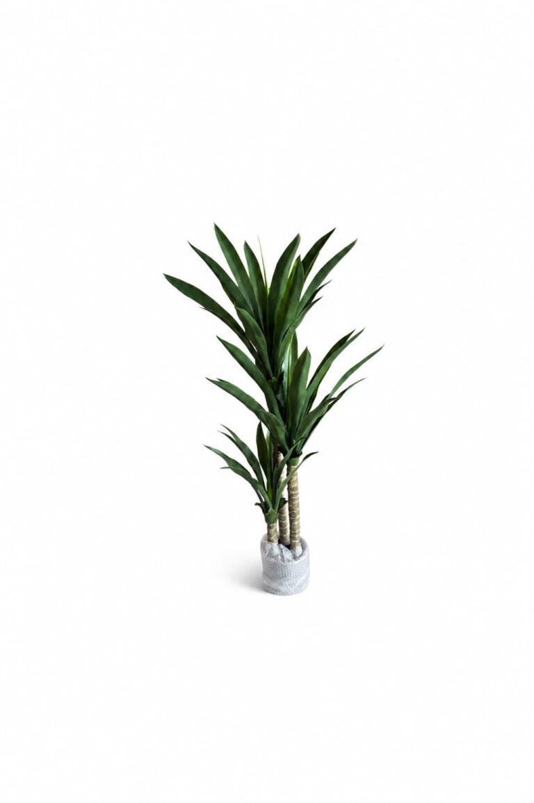 Tropical Tree GSGAPTE010