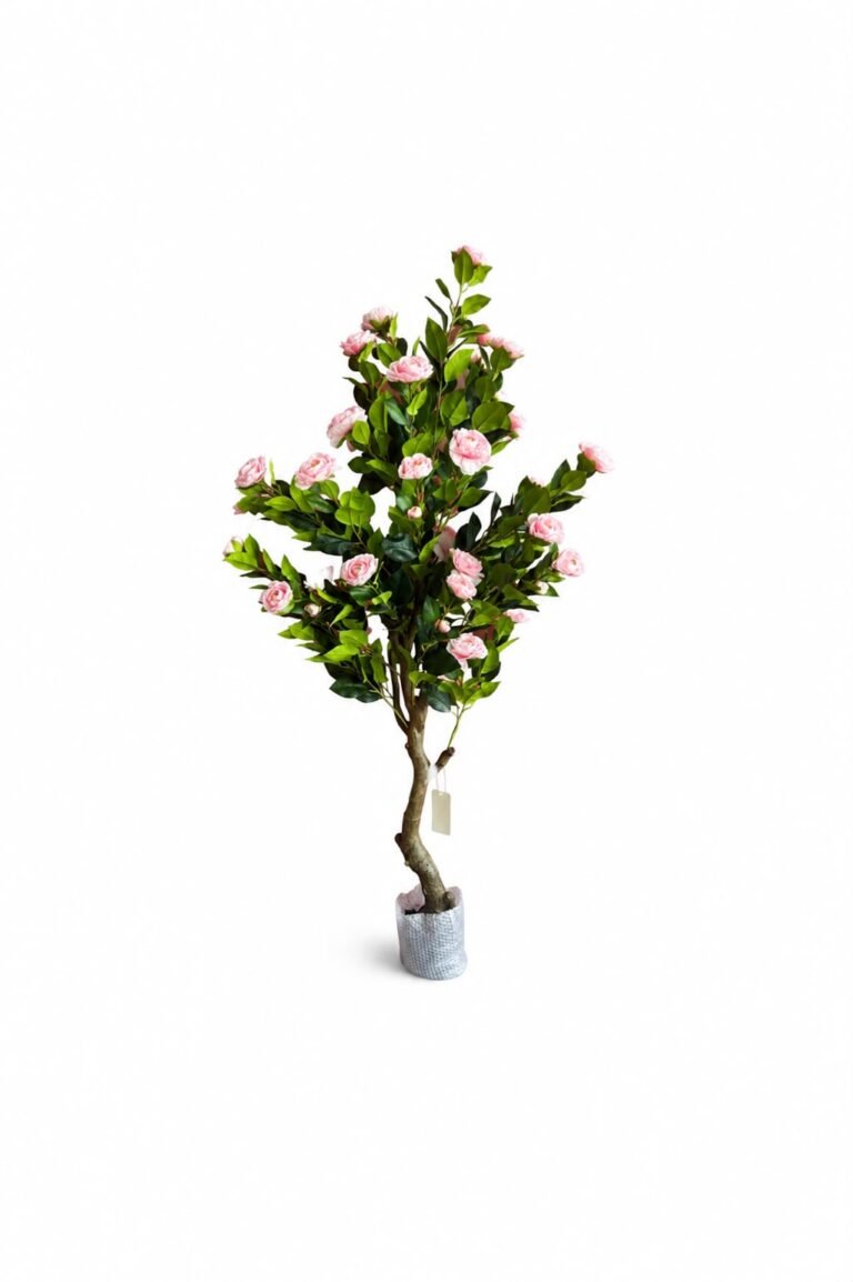 Camellia Tree GSGAPTE003
