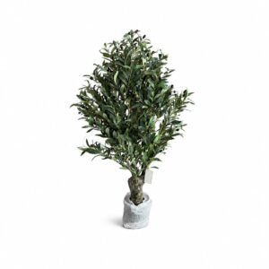 Fiberglass Olove Tree GSGAPTE031