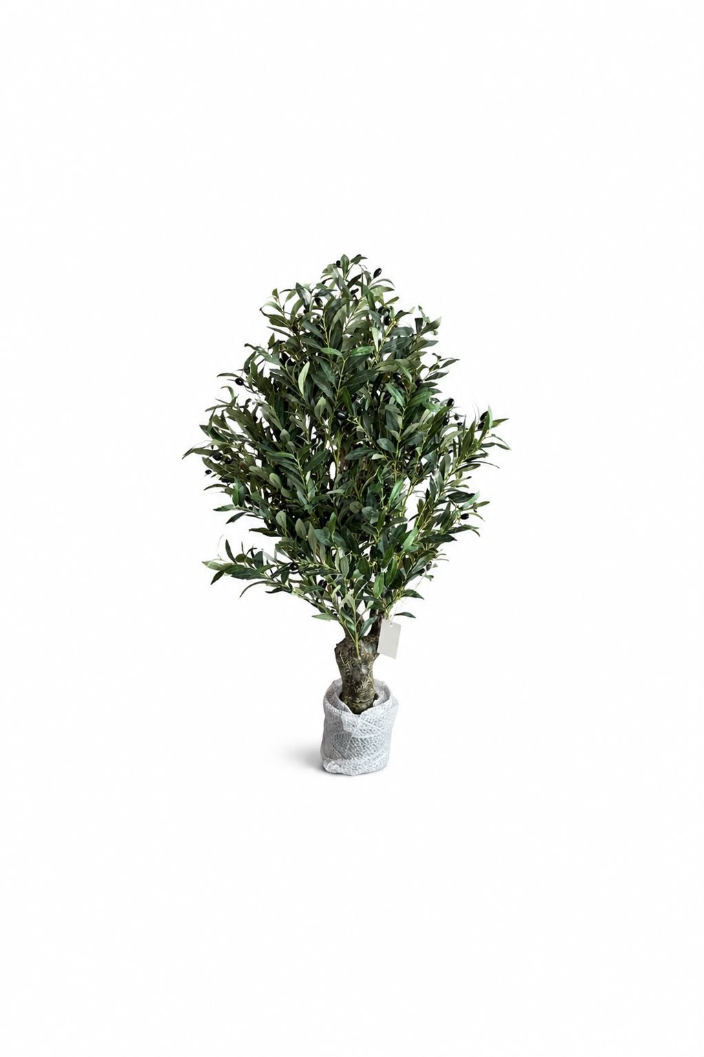 Fiberglass Olove Tree GSGAPTE031