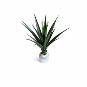 Tropical Tree GSGAPTE011