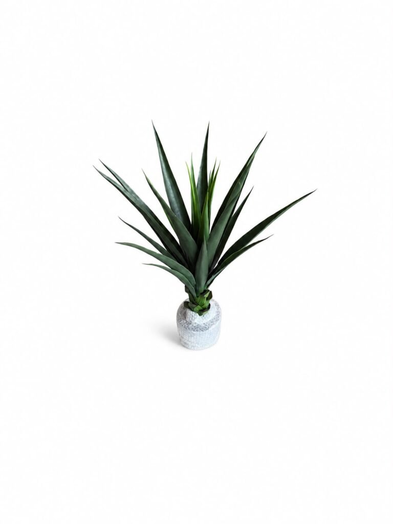 Tropical Tree GSGAPTE011