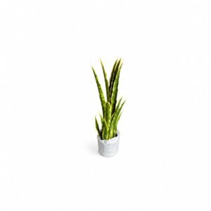 Artificial Sanseveria Trifaciata Prain GSGAPTE27