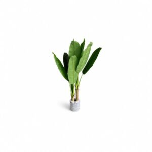 Pole Banana Tree GSGAPTE015