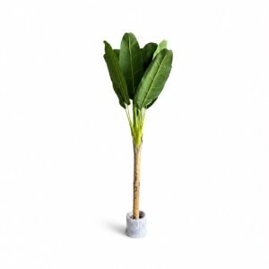 Single Pole Banana Tree GSGAPTE014